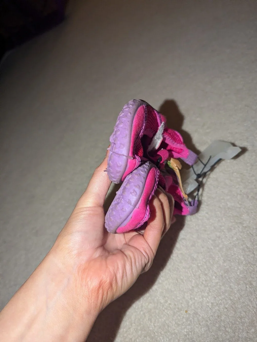 Nwt Speedo Kids Shoes Sz S 5/6